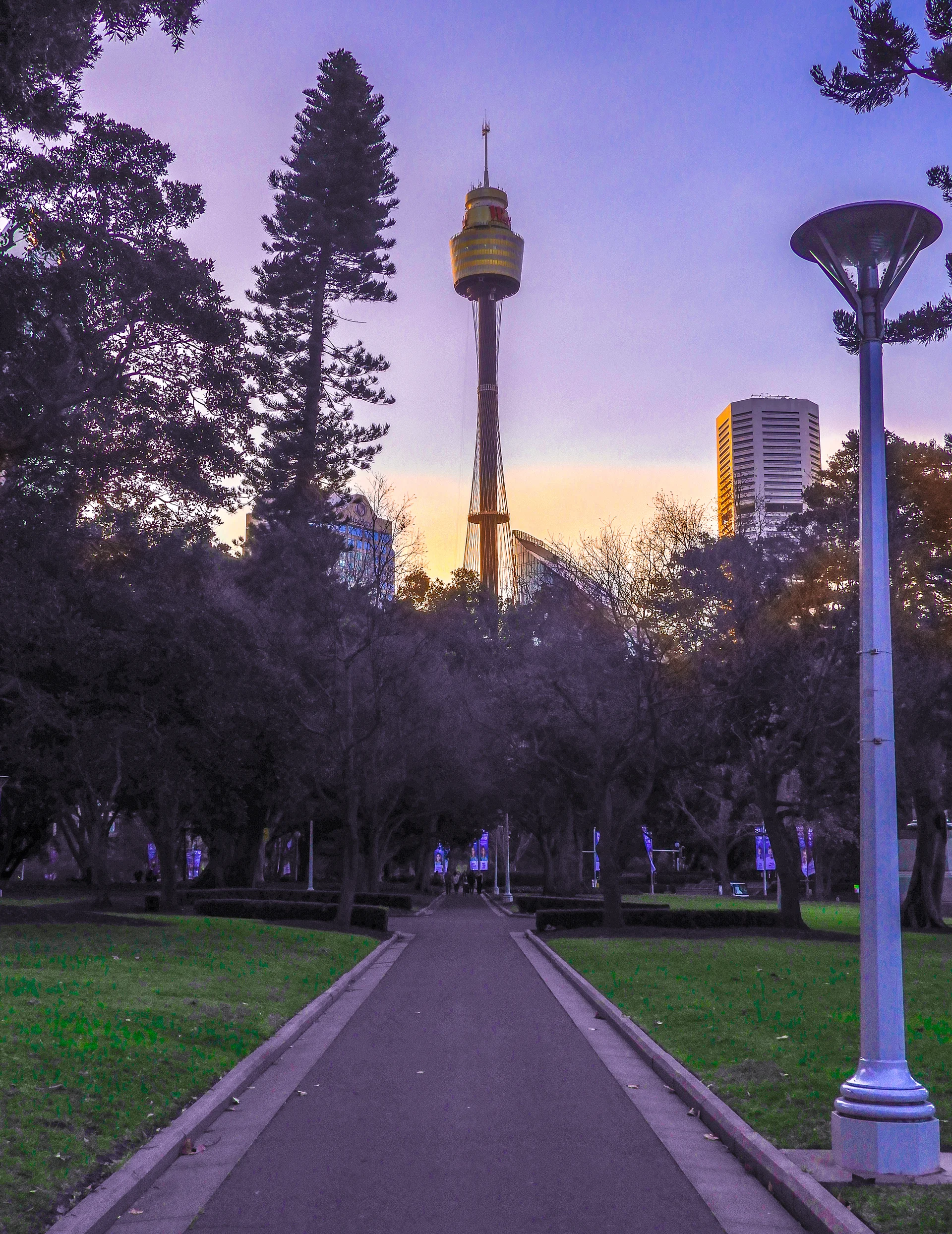 Photography Portfolio - Image 20